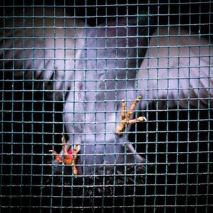 疯狂69式草榴视频
